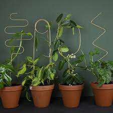 Set Of 4 Plant Stakes Botanopia Plant Stakes Trellis Plants Plant Stake