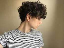 100% human hair nobby deep brown spiffy short haircut fluffy curly wig for women. Eboy Style Haircut Novocom Top