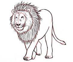 In this step the main shape of the body should very loosely resemble a bean and the snout can slightly resemble a bucket. How To Draw A Lion Step By Step Liron Yanconsky