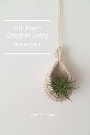 Free Crochet Pattern Air Plant Crochet Cozy Air Plant Hanger Crochet Plant Hanger Cacto De Croche Casa De Croche Decoracao De Croche