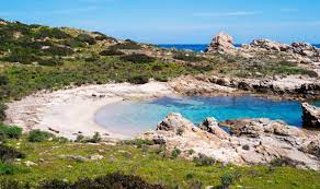 Asinara island, island lying in the mediterranean sea off the northwest coast of sardinia. Asinara Sardegnaturismo Sito Ufficiale Del Turismo Della Regione Sardegna