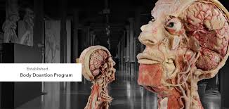 Check spelling or type a new query. Von Hagens Plastination Home