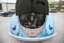 Image result for Medium Brown 1949 Beetle