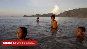 We did not find results for: Timor Leste Bangkitkan Hukum Adat Untuk Melestarikan Lingkungan Usai Merdeka Dari Indonesia Tidak Ingin Jadi Bali Yang Lain Bbc News Indonesia