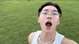 Rare variegated hoya parasitica verticilata heart leaves