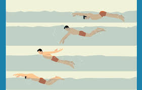 Explore thousands of inspiring classes for creative and curious people. Swimming Techniques For Kids Activekids