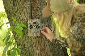 We did not find results for: The Best Cellular Trail Cameras For 2020