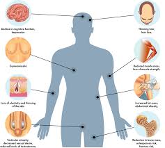 In this, hair follicles are taken from the donor area and are transplanted on the bald patches. Testosterone Replacement Therapy Low T Orlando Hrt
