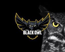 Desain logo yang kami berikan ini didapatkan dari … Logo Esport Esportlogo Mascot Owl Owllogo Birdlogo Animallogo Owl Logo Football Logo Design Sports Logo Design