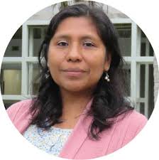 Sección Matemáticas da inicio a sus actividades del 2024 con el IV Congreso  Internacional de Geometría y Dinámica Compleja