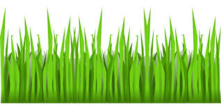 Are you see now top 10 rumput hijau results on the web. Rumput Hijau Png Transparent Images Free Free Png Images Vector Psd Clipart Templates