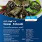 Raranga - Kirihimete | EIT event image