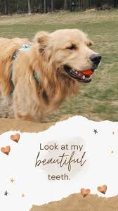 Big news!!! The wonderful Abigail Thrush is joining us! She will be in  charge of our marketing PLUS we are working together