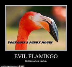 Evil Flamingo Flamingo Evil Pink Flamingos