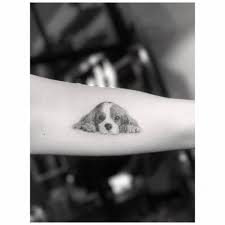 Apr 12, 2016 · la historia de el principito ha sido llevada a la pantalla en varias ocasiones, la más celebrada en 1974 por paramount pictures. Tatuajes Conmemorativos Para Tener A Tus Seres Queridos