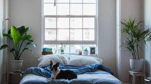 Sie wirken sich nachteilig aus, da sie ebenfalls den fluss der energie behindern. Pflanzen Im Schlafzimmer 14 Beste Pflanzen Fur Einen Gesunden Schlaf