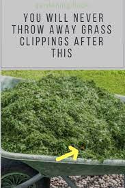 11 Reasons Why You Will Never Throw Away Grass Clippings After This Conseils De Jardinage Gazon