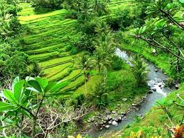 Gambar keindahan alam indonesia 1. Gambar Gambar Pemandangan Alam Indah Pemandangan Gambar Pedesaan Pedesaan