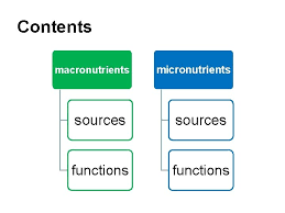 We constantly are filling up on fuel (macronutrients(calories)) in order to get from a to b without checking or refilling our oil (micronutrients) enough. Nutrients Elisenda Fens Contents Macronutrients Micronutrients Sources Functions