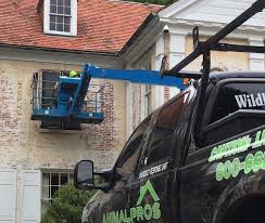Choose from our wide range of. Knoxville Wildlife Removal Animal Removal Animal Pros