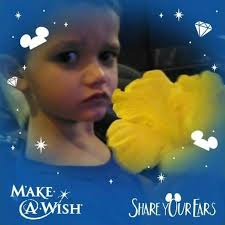 Profile for Karters Battle with Leukeima