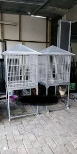 Pos tentang kandang beo yang ditulis oleh raja kandang. Kandang Burung Beo Murah Berkualitas Hewan Peliharaan 771377752