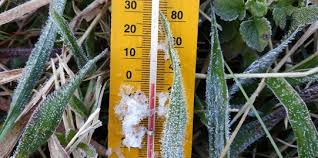 We did not find results for: Mengenal Embun Es Dieng Salju Cantik Nan Mematikan Merdeka Com