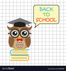 Cute owl teacher on squared background cartoon Vector Image
