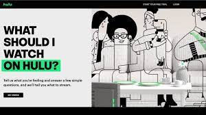 Struggling to decide on what to watch next on netflix? What Hulu Movie Should I Watch Quiz