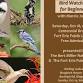 Bird Watching for Beginners with Marcie Jacklin event image