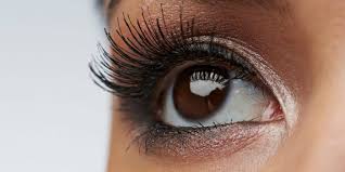 All my plants are on a drip. Castor Oil For Eyelashes Why It Won T Make Lashes Grow