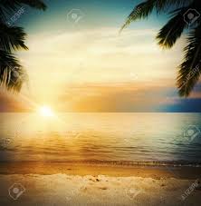 308,697 beach clip art images on gograph. Background Of A Tropical Beach At Sunset Stock Photo Picture And Royalty Free Image Image 43431046