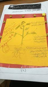 النشاط المدرسي ينمي ابداعي مدارس منارات الرياض التعليم معارف للتعليم موهبة السعودي مطويات مميزه للصف الثاني الابتدائي في ماده العلوم