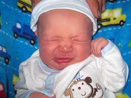 Liam Carter Stiles-Nerau