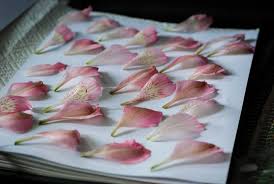 Maybe you would like to learn more about one of these? How To Press Flowers 4 Simple Tricks Reformation Acres