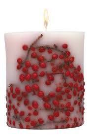 Acqua Di Parma Woods Berries Candle Nordstrom Red Candles Fruit Candles Candle Decor