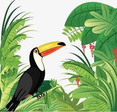 Millions Of Png Images Backgrounds And Vectors For Free Download Pngtree Toucan Art Graphic Art Forest Cartoon