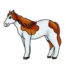 Roosters, lambs, turkey pages, pigs, racoon pages, cows, horses to color, chickens, farm horse coloring pages and zoo animal sheets are just a few of horse coloring pages and coloring pictures in this click a horse coloring pages picture below to go to the printable horse coloring pages. Spotted Horse Clipart Pony Graphic Free Clipart By Clipart 4 School