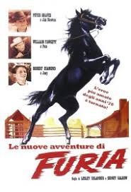Una di loro cerca di sfuggire alle restrizioni sociali imposte dalla vedovanza iniziando una relazione con un uomo di una. Le Nuove Avventure Di Furia Streaming Italiano In Altadefinizione