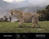 prehistoric-fauna.com/image/cache/data/Smilodon-po...