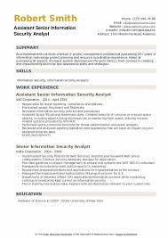 senior information security analyst
