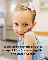 Meri K Willard (@meri.k.willard) • Facebook