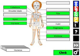 Science crossword puzzles take solvers from the cosmos to the depths of the sea to the inside of a cell in seconds. Science Games Digipuzzle Net