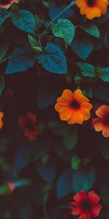 Check spelling or type a new query. Wallpaper Mobile Wallpaper Wallpaper Iphone Solid Color Wallpaper Colorful Wallpaper Landscape Photography Wallpaper Landscape Wallpaper Colorful Wallpaper