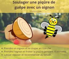 Un Oignon Pour Calmer Une Piqure De Guepe