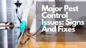 A quick breakdown of pest analysis. Major Pest Control Issues Signs And Fixes Action Pest Control Services