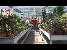 Hagebaumarkt Barth Gmbh Amp Co Kg Aus 18356 Barth Branche Baumarkte Youtube Bau Baumarkt Veranstaltung