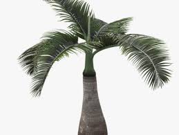Pin On Plants Free 3d Models