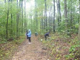 Promoting Amphibian Conservation through the College Classroom: Detection  of Batrachochytrium dendrobatidis among Local Amphibia