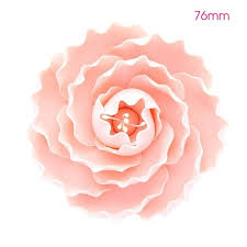 Check spelling or type a new query. Culpitt 76mm Pink Briar Rose Gumpaste Flower Cake Topper From 3 67